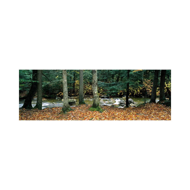 River Flowing Through A Forest, White Mountain National Forest, New Hampshire, USA - Wrapped Canvas Panoramic Print