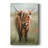 Happy Highlander -Custom Wrapped Gallery Cavas-409642873