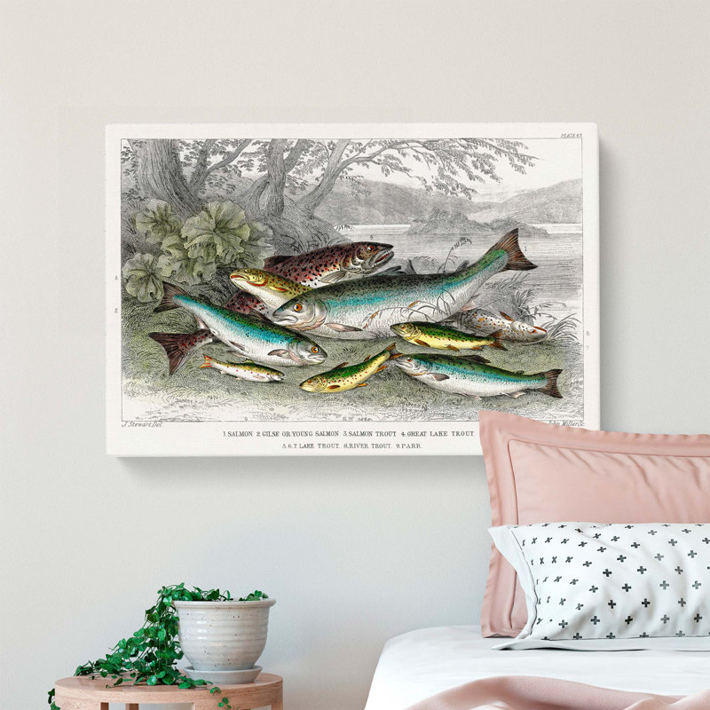 Fished Salmon And Trout by Oliver Goldsmith - Wrapped Canvas, 50cm H x 76cm W x 3cm D