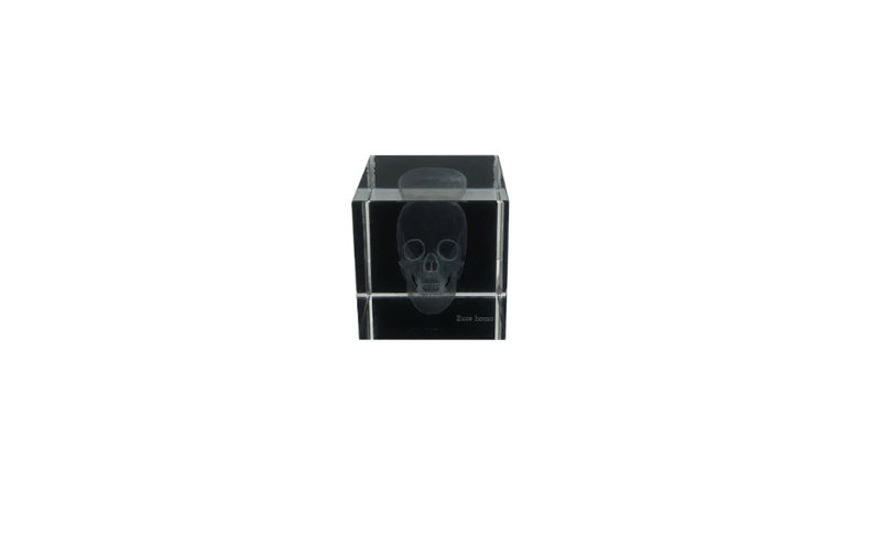 Skull Sculpture
