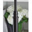 Lampe de table Gearldine