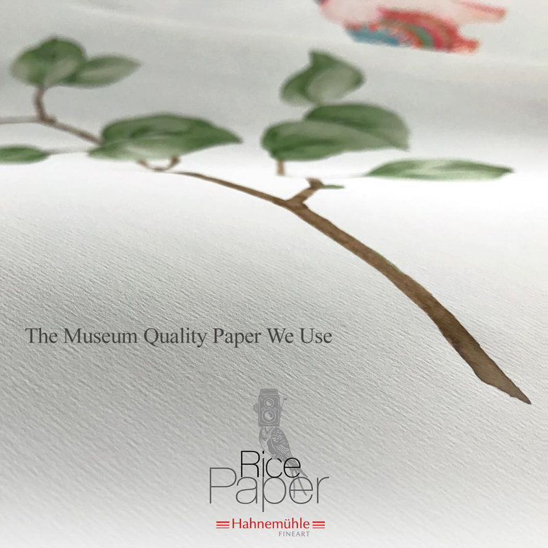 Seeking the Path in Deep Mountains - Asian Painting Hanging Scroll