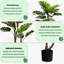 Arbre artificiel 60 po Monstera 60 po