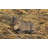 Animals Weather Resistant Water Resistant UV Resistant Polyresin Garden Statue
