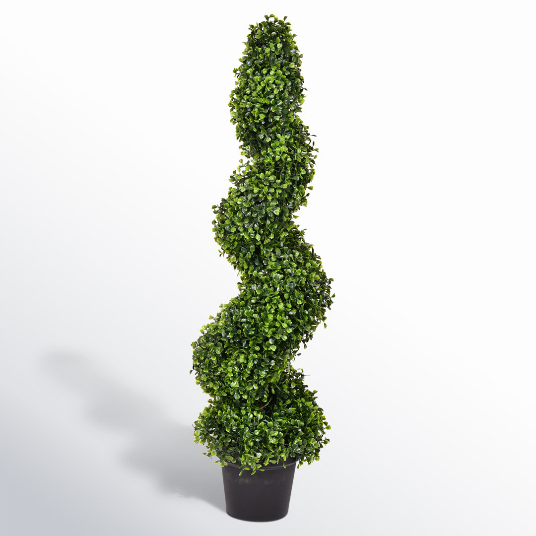 Wolfdale Artificial Potted Green Boxwood Spiral Tree Birch Lane™ Size: 36" H x 9" W x 9" D