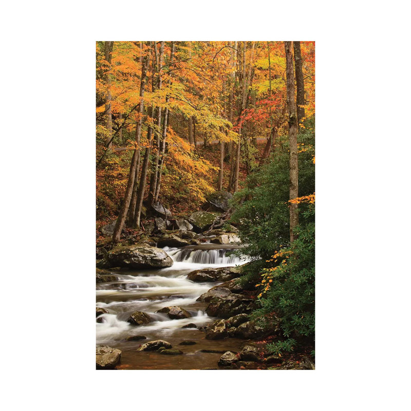 États-Unis, Tennesse. Feuillage d'automne le long d'un ruisseau dans les Smoky Mountains. par Joanne Wells - Photographie sur toile tendue