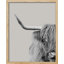 «Hignland Cow Portrait noir et blanc Shetland bovins» sur papier-98265838-98265841