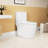White Ceramic Toilet, 1.1/1.6 , Elongated, Comfortable Height, Soft Close Seat, & , T036wt Elongated White, Comfortable,