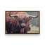 «Scottish Highlander» par Martin Podt, reproduction d'art-1338596952-1338596957-1338596949