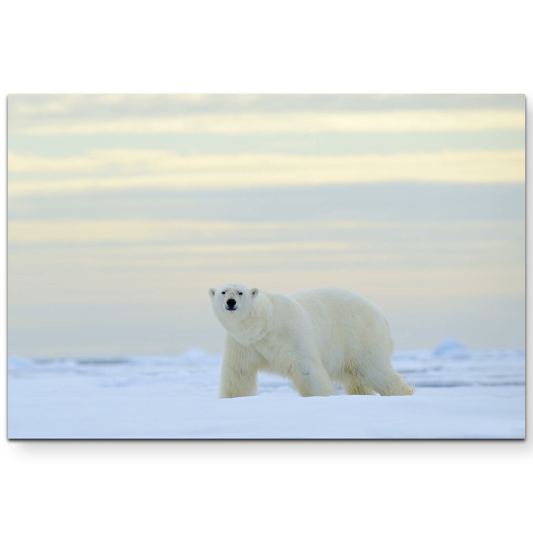 Leinwandbild Eisbär im Schnee