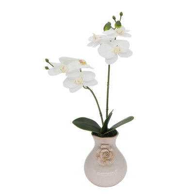 Orchids Arrangement in Vase