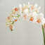 Light Pink Orchid 16" Mini Garden Drop-In