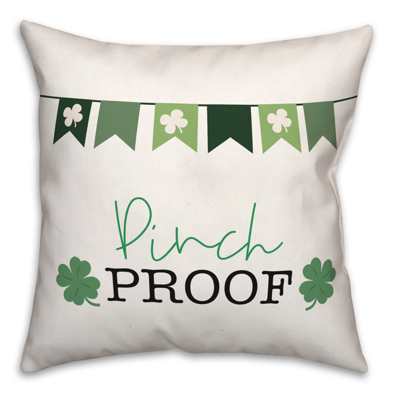 Coussin Pinch Proof Banner 3, 18 po x 18 po