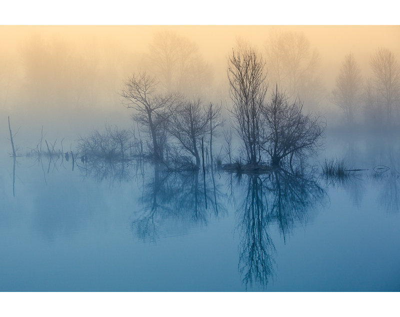 Wrapped Canvas Print, 76.2 cm H x 50.8 cm W