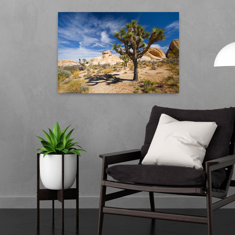 Joshua Tree Shadow, parc national de Joshua, paysage de cactus contemporain abstrait, art naturel, H 16 po x l 24 po