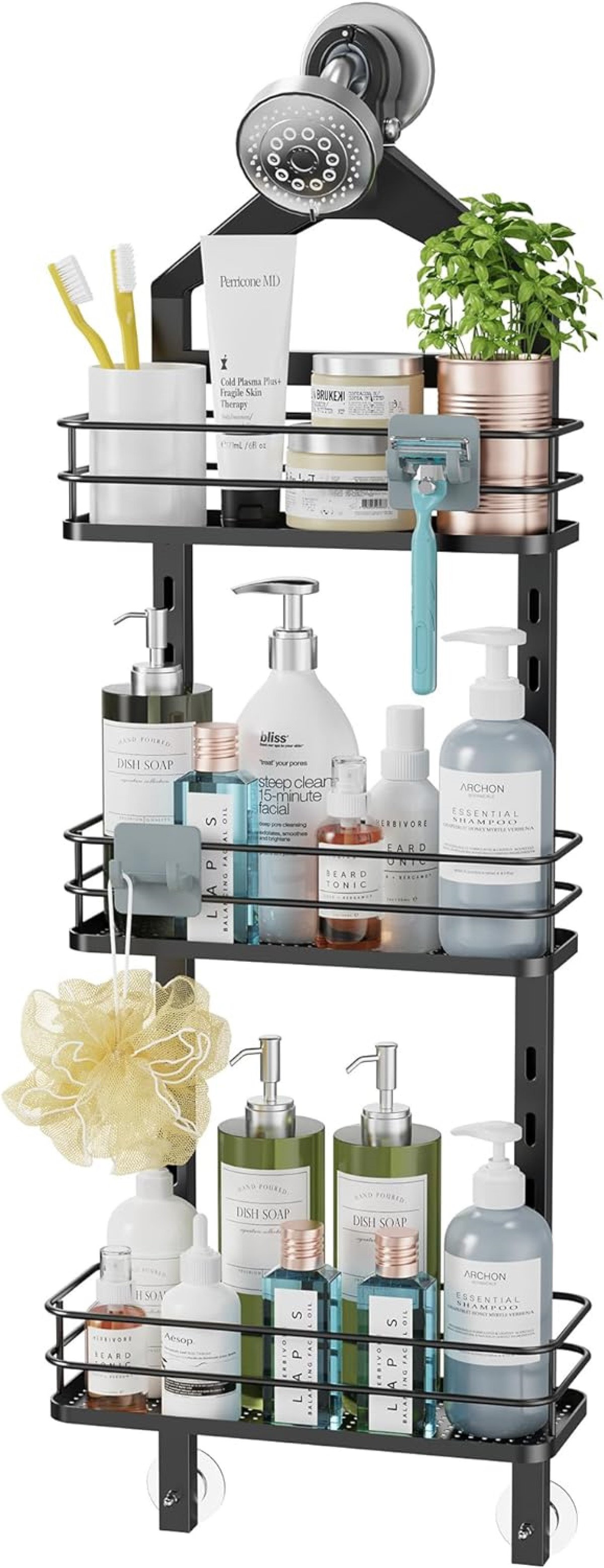 Rebrilliant Macelyn Suction Stainless Steel Shower Caddy
