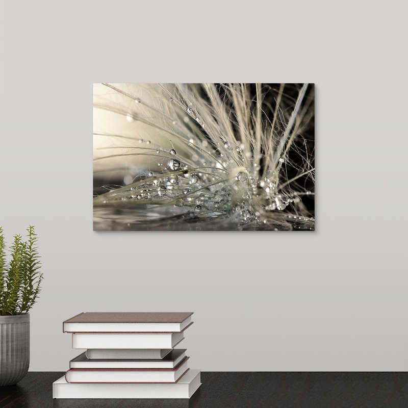 « Straub Pearls » par Maryam Zahirimehr - reproduction de photo, H 8 po x l 12 po x P 1,5 po, Toile tendue, No Frame