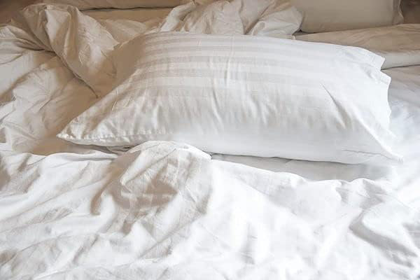 Housse de coussin 100% coton Terrapin