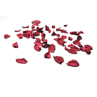 Rose Petals by Sbayram