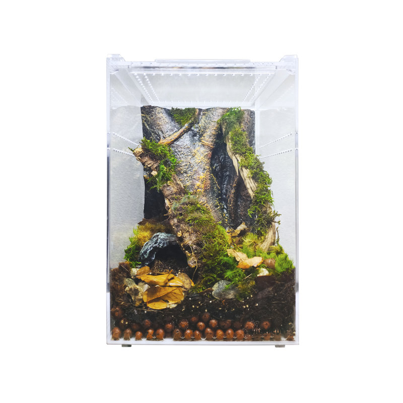 Acrylic Reptile Terrarium, 3 Gallon - 12"H x 8"W x 8"D
