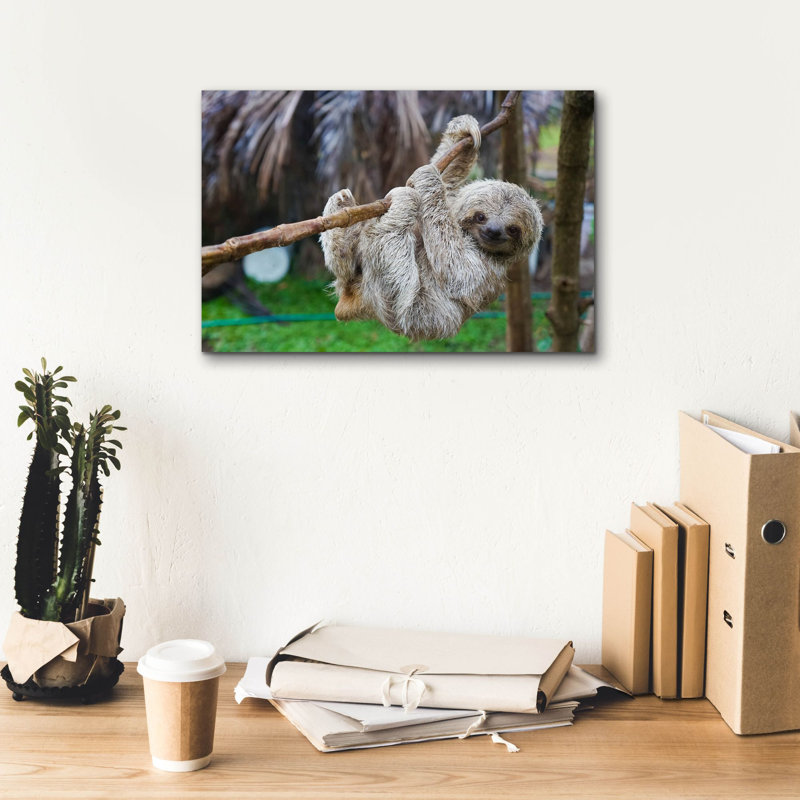 «Baby Sloth» par Epic Graffiti Portfolio, H 12 po x l 18 po x P 0,75 po