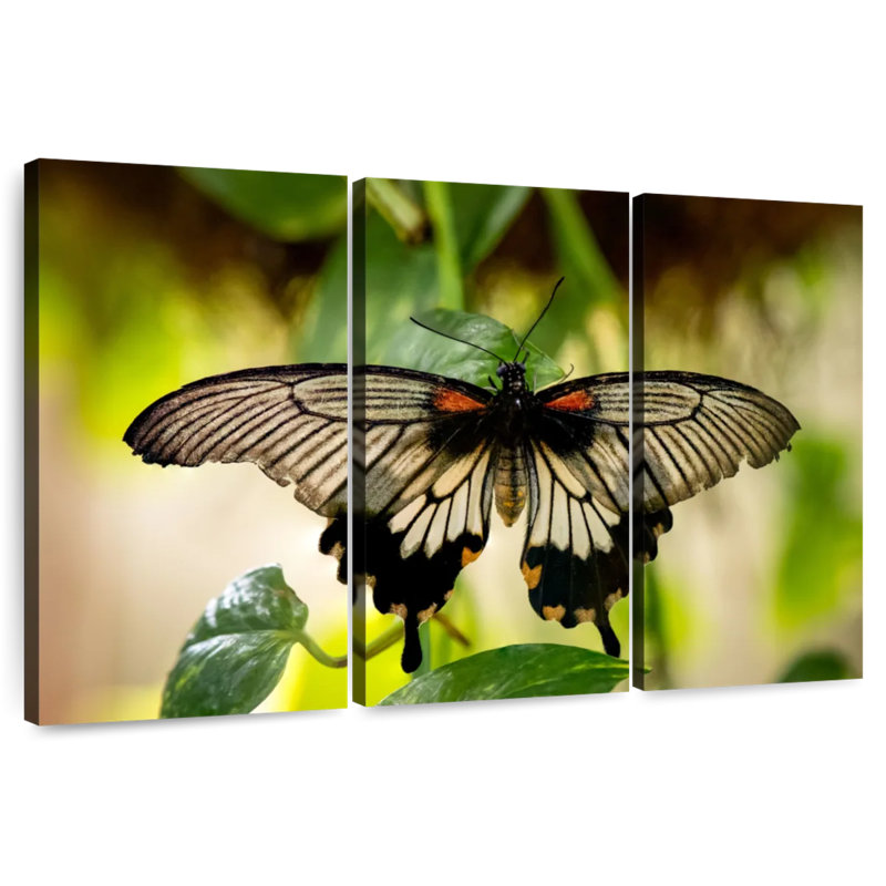 Brampt Monarch Butterfly, 48" H x 74" W
