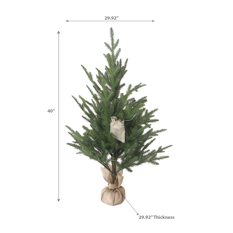 Ihcasadecor 40 plantes