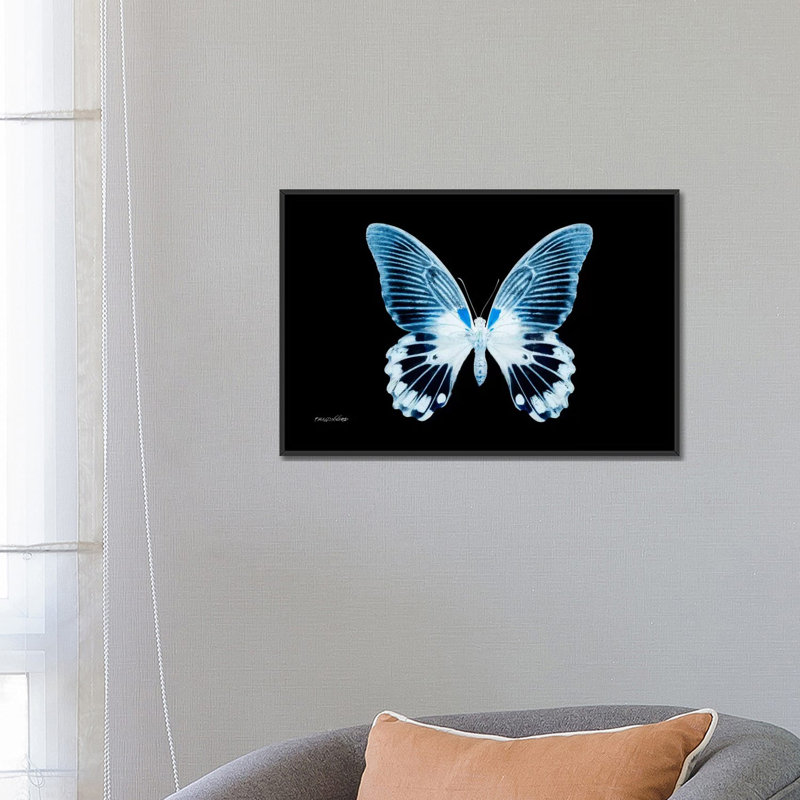 « misse ray x i », impression sur toile, H 18 po x l 26 po x P 1,5 po, Toile avec cadre noir