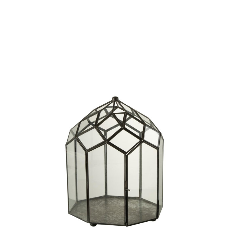 Aalexis Metal Terrarium, 38 x 25 x 25