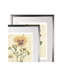 « pressed pansy »-2 pièces, ensemble de 2 reproductions de photos sur papier-28785926