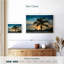 Palmier Gillard Key West-107503410