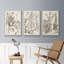 «Sepia Botanical Journal IV», ensemble de 3 pièces encadrées sur toile-97706849-97706847