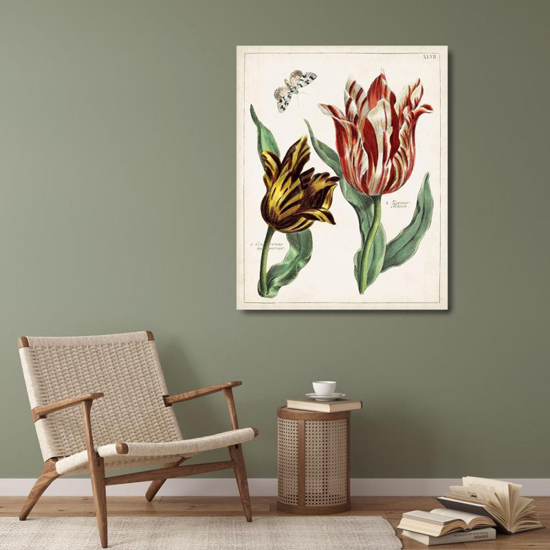 Art sur toile tendue August Grove Inconnu, Tulip Classics IV, H 34 po x l 28 po