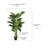 65'' Faux Banana Leaf Tree in Pot
