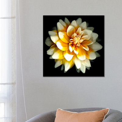 Dahlia by Susan Barmon - Wrapped Canvas Print