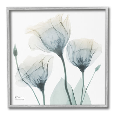 Douces tulipes opaques, giclée par Albert Koetsier