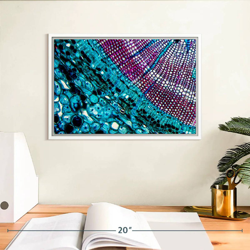 Pine Stem Under Microscope, 13" X 9", Floating Frame White