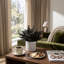 Eucalyptus noir en pot de ciment