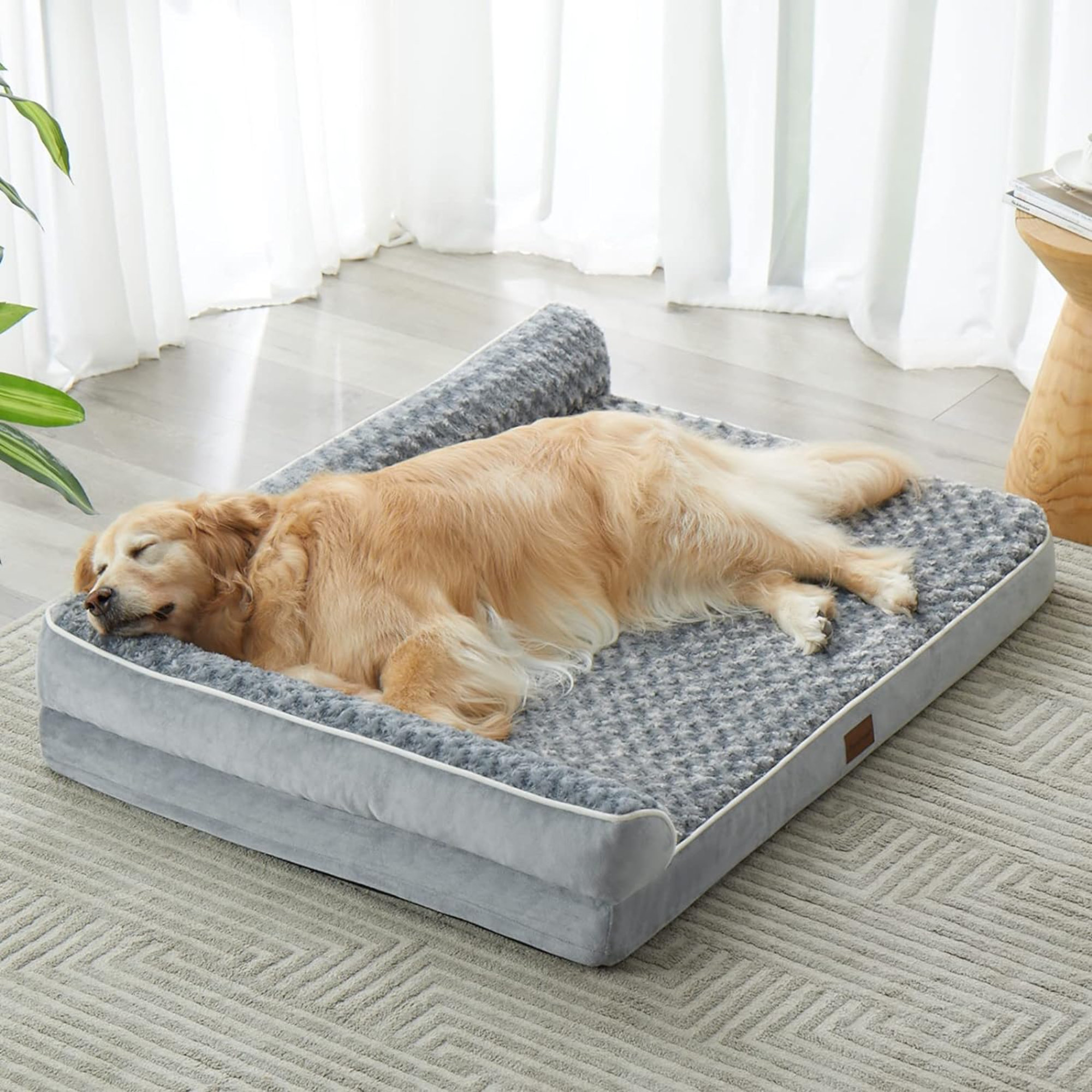 Tucker Murphy Pet™ Orthopedic Dog Beds For Medium Dogs Waterproof Sofa  Dog Bed With Removable Washable Cover, Medium Dog Bed With Waterproof  Lining