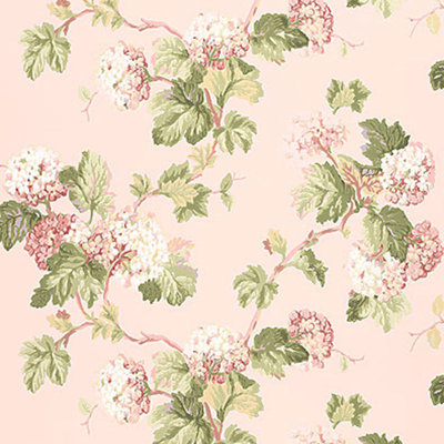 Papier peint Viburnum