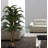60" Artificial Palm Tree in Planter Set-1121430474