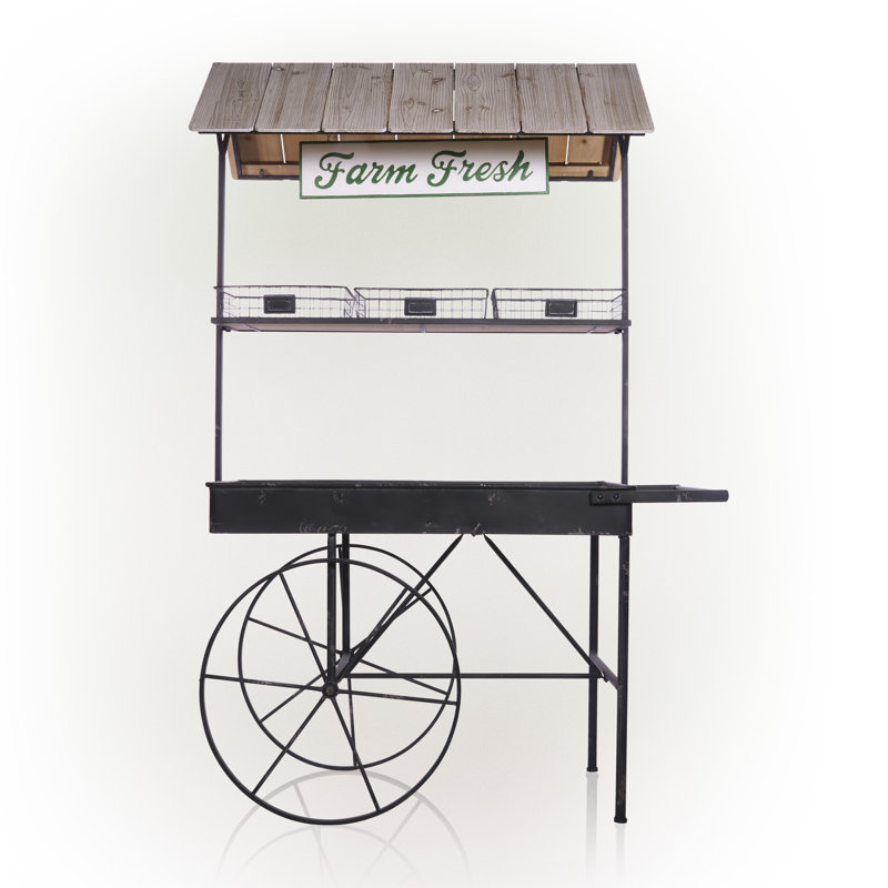 Illyes Wheelbarrow Planter