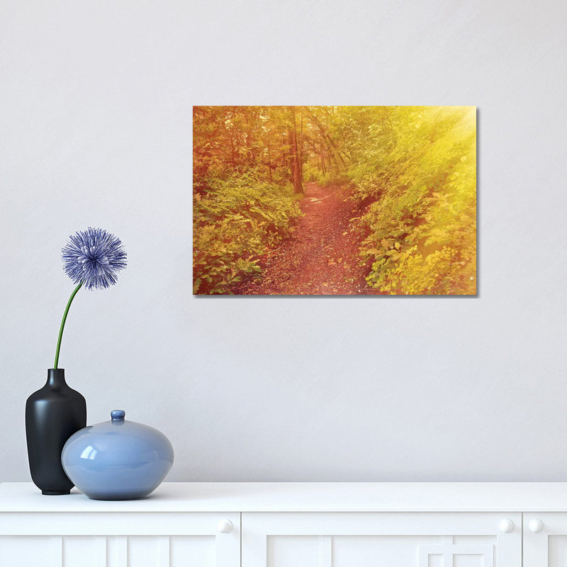 Forest Sunrays by Mark Paulda - Print on Canvas, Wrapped Canvas, 30.48cm H x 45.72cm W x 1.91cm D
