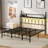 King Metal Platform Bed with Floral Style Headboard, Bed Frame with RGB LED Lights, Charging Station & Ample Storage Space, Easy Assembly, Black-1489262202-1489262086