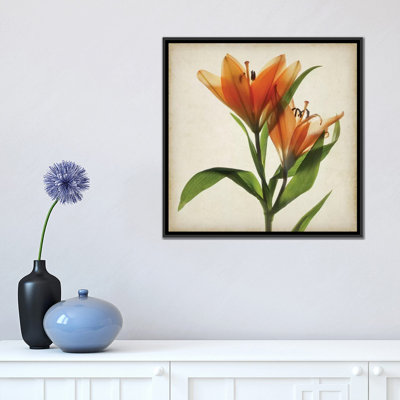 «Parchment Flowers X», impression sur toile