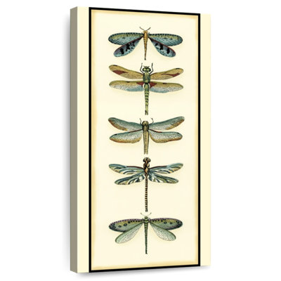 Dragonfly Collector I