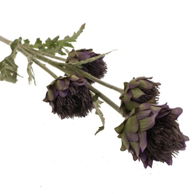 Cardoon Thistle Arrangement