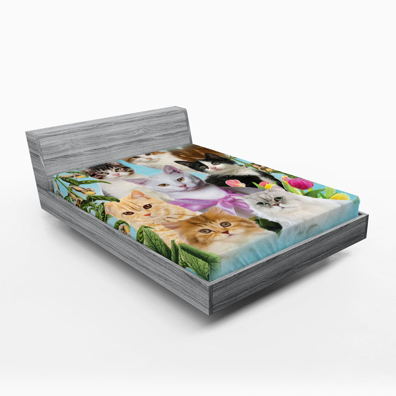 Ambesonne Cat Lover Fitted Sheet 2-Pack Cats Feline Domestic Multicolor, California King Fitted Sheet