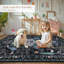 Tapis lavables à la machine Goldene-959061464