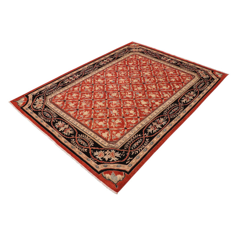 Tapis rouge / bleu en laine noué à la main 9 pi 2 po x 12 pi Baccio